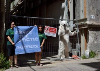 L’orso di Greenpeace a L’Aquila.