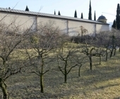 Comune L’Aquila: via libera del Consiglio alla redifinizione della fascia di rispetto del cimitero