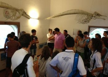 Torre del Cerrano: iniziative ambientali e sportive, il simbolo della costa abruzzese meta ambita grazie alla tutela naturalistica dell’AMP.