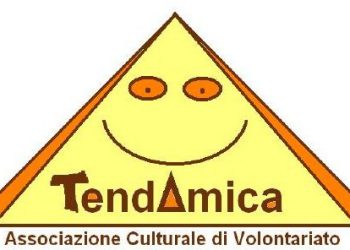 Il comitato cittadino risponde all’assessore Pelini.