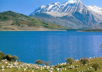 Uccelli: su lago Campotosto “migrazione d’autunno” con forestale.