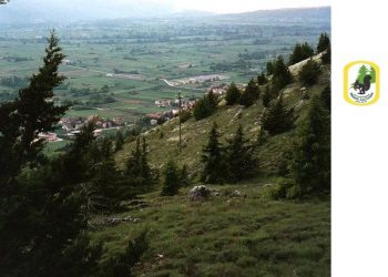 Avezzano: festa dell’albero, sul Salviano “spuntano” nuove piante.