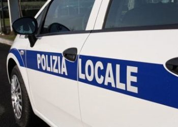 Trasporto degli animali condotti al macello: task force della Polizia Stradale.