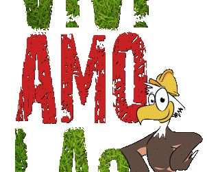 Area ludica nel quartiere Case di Roio, domani conferenza stampa