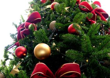 XXX Cantata di Natale, seconda serata il 15 dicembre.