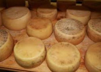 Pecorino Farindola al cacao, domani prova