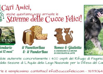 Lega del Cane, aiuta i randagi dell’Aquila anche a Natale