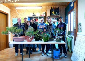 “BonsaiAq”, incontro sulla specialità delle piante in roccia