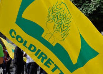 Coldiretti: in Abruzzo cresce export alimentare