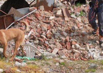 Teramo, va in scena Cerbero 2015