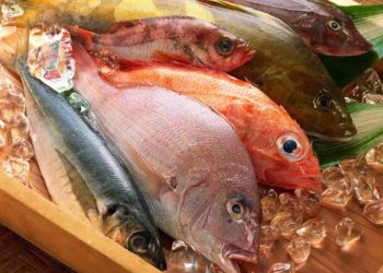 Pesce: Coldiretti Abruzzo, attenzione a quello importato