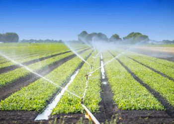 Reti irrigue bassa Valle Aterno, Imprudente: “Progetto da 13 milioni”