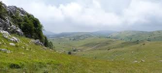 Pascolo su terre civiche, comuni e amministrazioni separate: le mafie si combattono con i fatti, non a parole