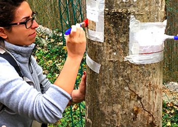 Parco Nazionale della Majella: il progetto Volontariato diventa realtà
