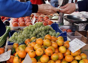Consiglio regionale, approvato emendamento su aumento postazioni produttori agricoli