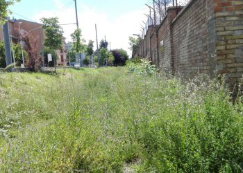 Erba alta su Via Amiternum a ridosso della Caserma Pasquali