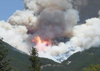 Pineta a fuoco tra Arischia e Pizzoli, anche canadair sul posto