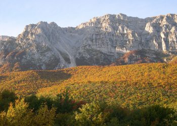 Foreste a rischio con il ridimensionamento del Parco del Sirente-Velino
