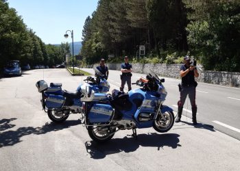 La Polizia estende i controlli: attività di prevenzione contro gli incidenti stradali provocati da fauna selvatica