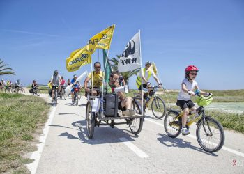 In bici dalla Riserva Borsacchio all’Area Marina Protetta: nuovo evento per l’ambiente, la valorizzazione delle aree protette e del turismo sostenibile