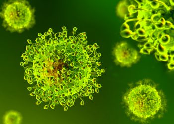 Coronavirus: Abruzzo, dati aggiornati al 29 luglio. Casi positivi a 3373