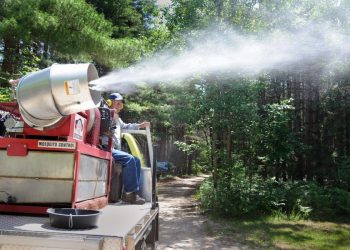 L’Aquila: demuscazione, il calendario degli interventi