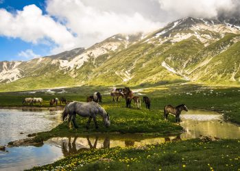 Parco Sirente: Pezzopane (Pd), “Propongo  Tavolo per rilancio Parco Sirente Velino, non chiusura, superare commissariamento e rilanciare con sindaci e associazioni”
