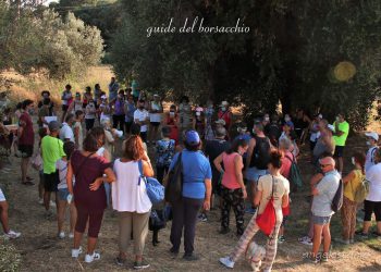 “L’ulivo il colle e la storia”, tutto esaurito nella Riserva Borsacchio a Roseto per l’evento