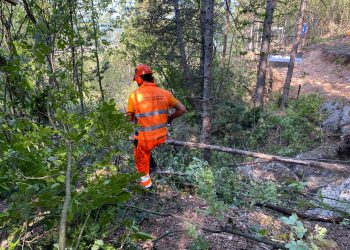 Incendi all’Aquila: Sette canadair, 3 elicotteri, 80 Vigili del Fuoco, 40 militari, 70 volontari, 30 dipendenti comunali e 4 pattuglie della Polizia municipale in azione
