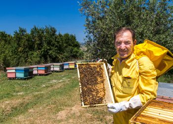 Al miele di acacia di Luca Finocchio l’Oscar internazionale del cibo