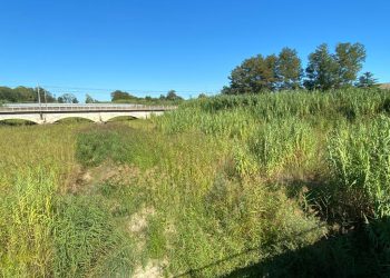 Città Sant’Angelo: fondi Regione Abruzzo per pulizia torrente Piomba
