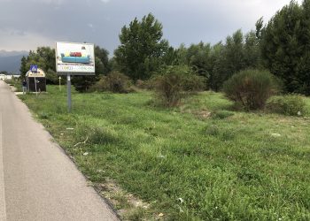 Ju Parchetto con Noi: mercoledì 23 uscita ecologica in via Saragat