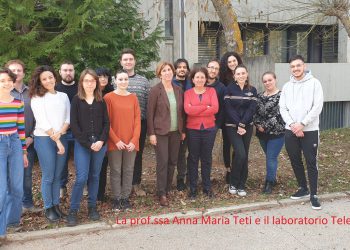 L’Università dell’Aquila e SiSaf Ltd insieme per il trattamento della osteopetrosi autosomica dominante di tipo 2