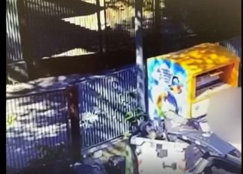 Campli: abbandona rifiuti per strada, incastrata da fototrappole