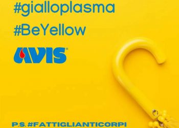 AVIS: apertura domenicale a Pescara