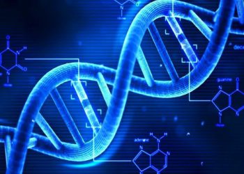 Dalla scienza alla Vitha: all’Aquila la presentazione del progetto Anima Genomics con Claudio Lippi