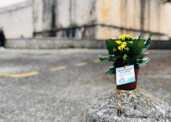 Porta il verde in casa: parte dal Castello la “rivoluzione” dell’aria