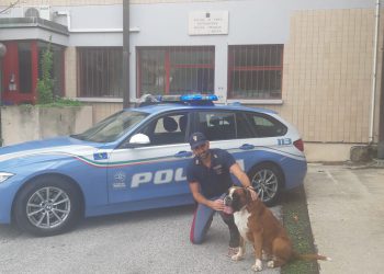 Abbandonano cane in autostrada: immediatamente rintracciati e denunciati dalla Polizia Stradale