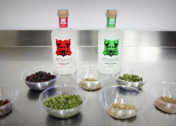 Non solo mieli e formaggi: dalla santoreggia del Gran Sasso anche il gin