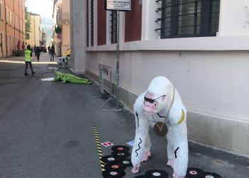 Installazioni di Mattia Consonni: Gargano, con le “installazioni animalesche” abbiamo voluto attirare l’attenzione sul Centro storico