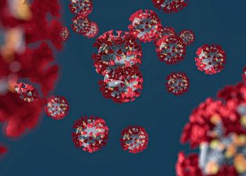 Coronavirus: Abruzzo, dati aggiornati al 29 ottobre. Casi positivi a 9674* (+482 su 3710 tamponi)