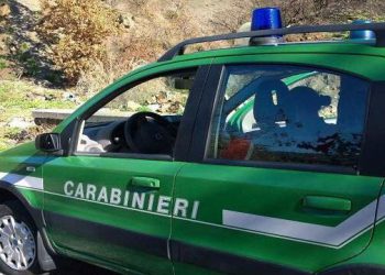 Fare Verde: a Balsorano incivili puniti grazie ai Carabinieri Forestali