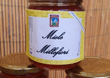 Nasce “Fior di Gran Sasso”, il miele millefiori del Parco Nazionale Gran Sasso Laga
