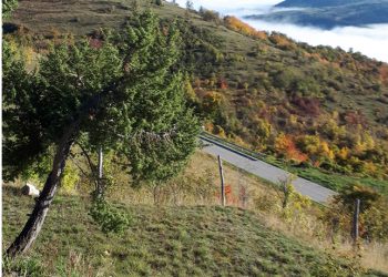  Alto Aterno: l’autunno, la famosa castagna “Roscetta Fiorentina” e la terribile pandemia.