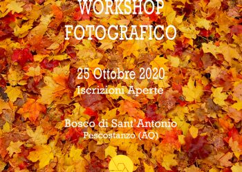 Pescocostanzo: workshop fotografico nel Bosco di Sant’Antonio