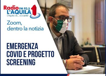 Zoom, dentro la notizia del 27.11.2020: emergenza covid e progetto screening