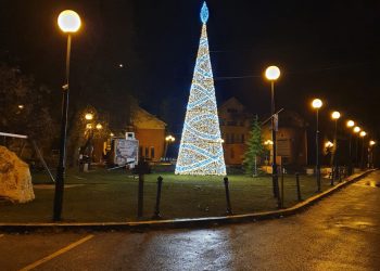 Natale 2020: a L’Aquila accensione alberi di Natale