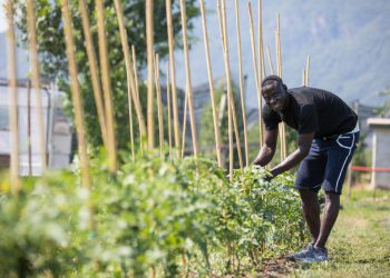Bando Fermenti, il progetto “Coltiviamo le diversità” tra quelli finanziati