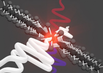 Il più sottile amplificatore ottico mai realizzato: l’Università dell’Aquila partecipa a ricerca su amplificazione di radiazione su scala atomica