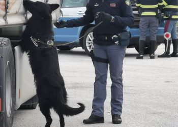 Attività operativa di controlli di Polizia Stradale nelle provincie di L’Aquila, Chieti, Campobasso e Isernia